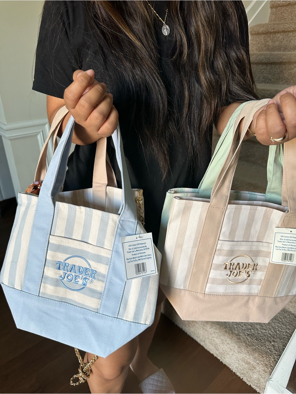 Striped Canvas Tote - Blue and Beige, green and pink 4 toteb bags for 75
